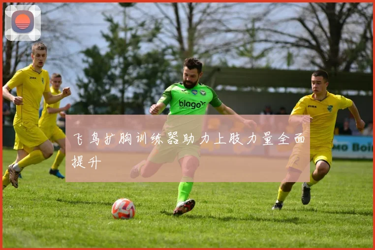 飞鸟扩胸训练器助力上肢力量全面提升