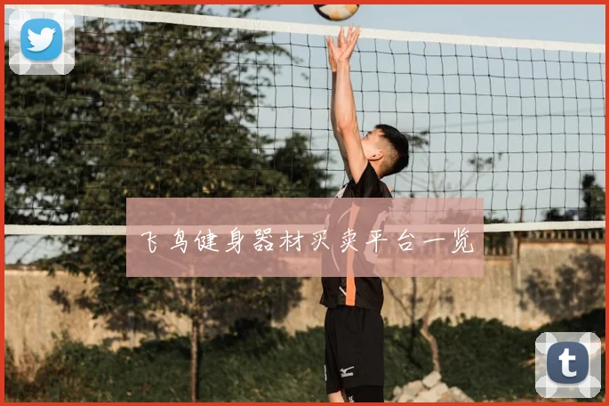 飞鸟健身器材买卖平台一览