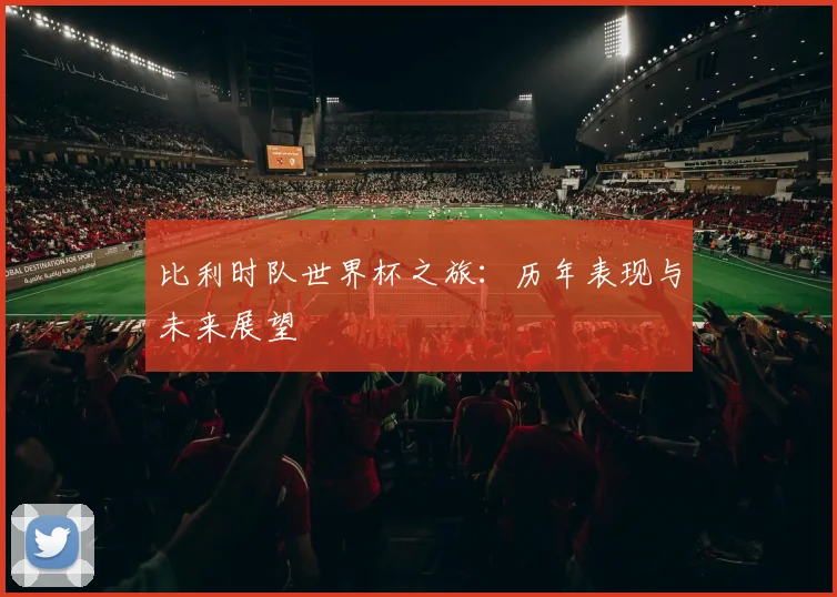 比利时队世界杯之旅：历年表现与未来展望
