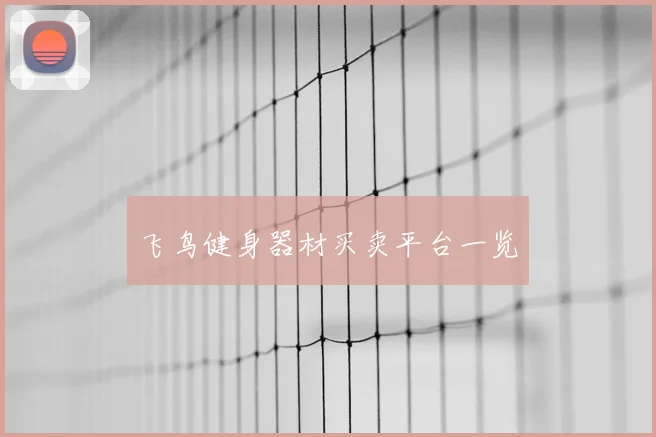 飞鸟健身器材买卖平台一览